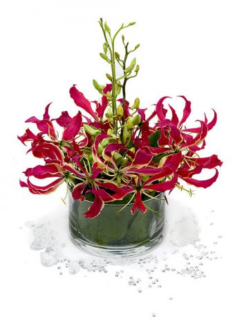 Gloriosa - Design Fresh Cut Flowers