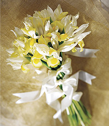Tender Bouquet - - Events Flower Arrangements