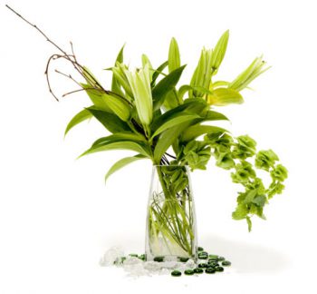 Pure Luck Bouquet - New Flower Arrangements NYC