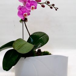 flower-arrangement-56