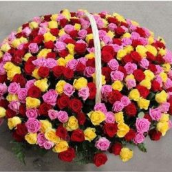 best-floral-design-flower-arrangement-296_500-colorful-roses-4800.99