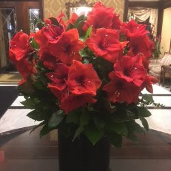 flower-arrangement-315